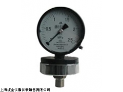 YPF-100A膜片压力表 上海自动化仪表四厂的精密测量解决方案